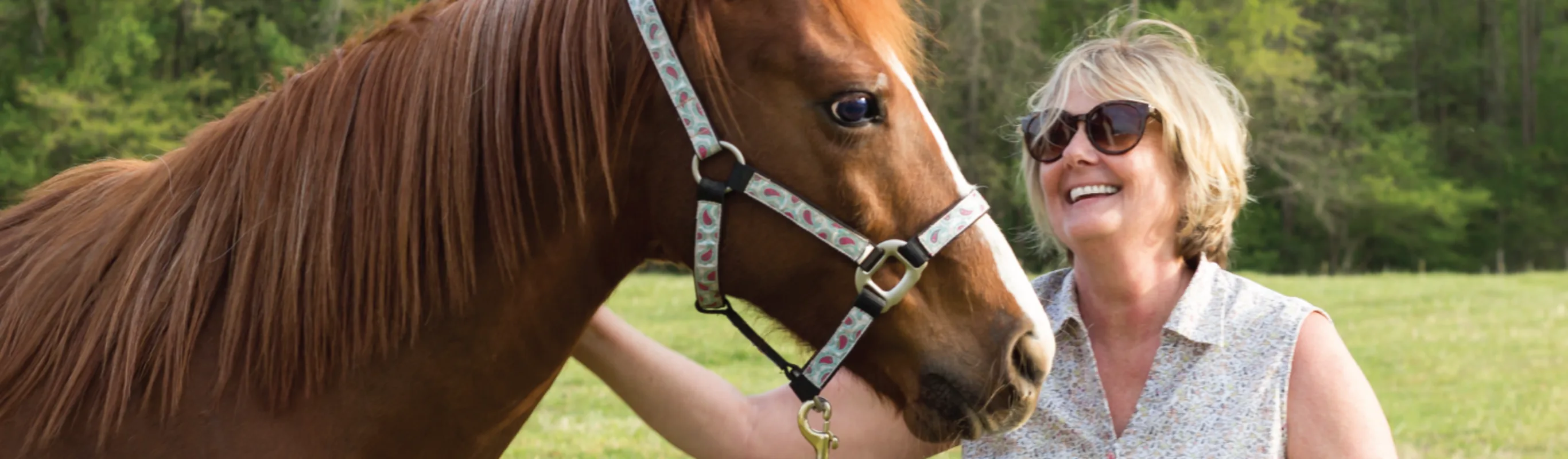 Older woman petting horse outside